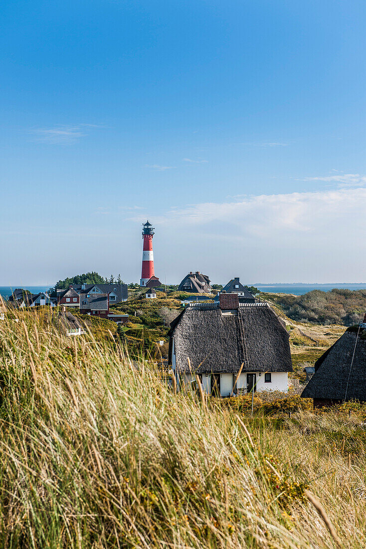 Lighthouse and thatched-roof houses in the dunes, Hoernum, Sylt, Schleswig-Holstein, Germany