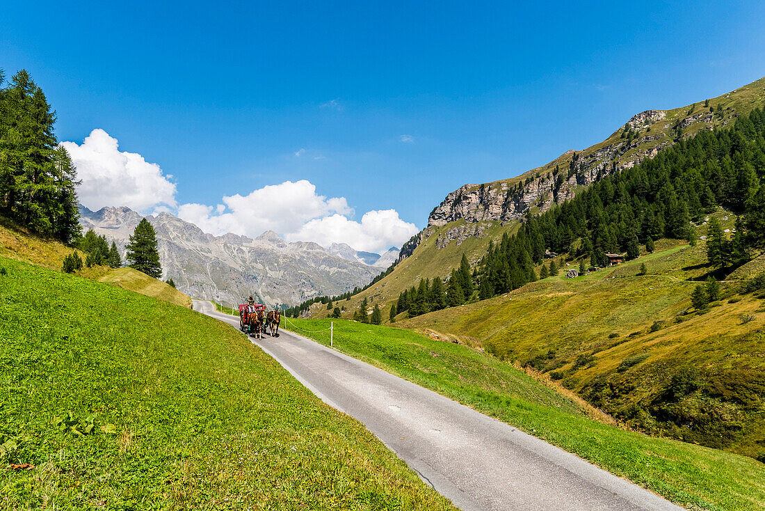 Pferdekutsche im Flextal, Sils-Maria, Oberengadin, Kanton Graubünden, Schweiz