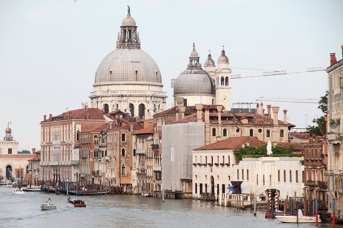 Sta Maria della Salute church and canal grande, Venice, Veneto, Venetia, Italy