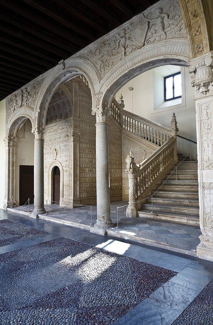 Covarrubias stairs in Santa Cruz Museum, Toledo, Castilla-La Mancha, Spain