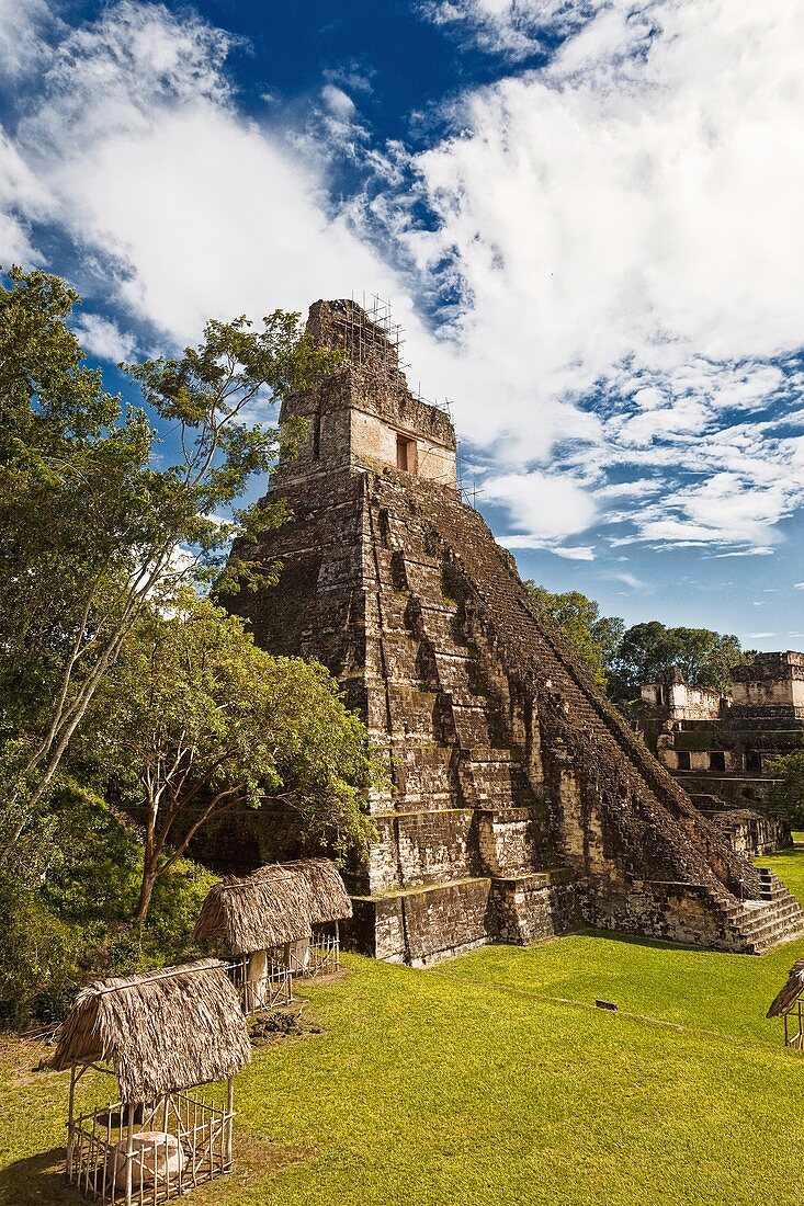 tikal maya ruins.temple number 1 or gran jaguar. guatemala