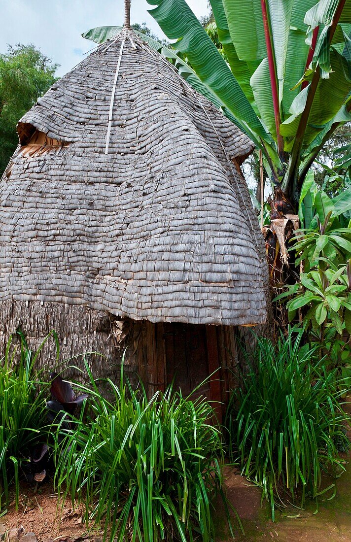 Arba Minch Chencha Ethiopia Africa Dorze tribe village elephant type home in village looks like elephant which they now miss