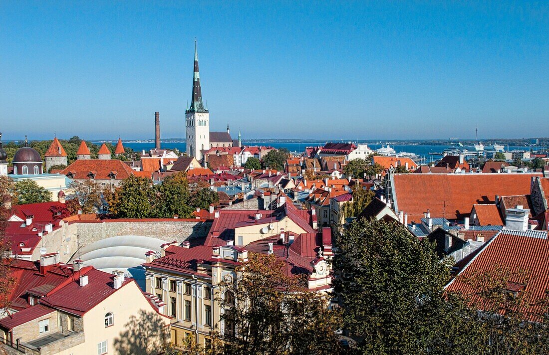 Tallinn Estonia Old Town above scenic aerial beautiful colorful tile roofs steeple birdseye historical downtown