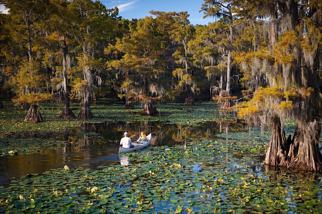 People in a Canoe, Cypress Swamp, Caddo Lake, Texas and Louisiana, USA