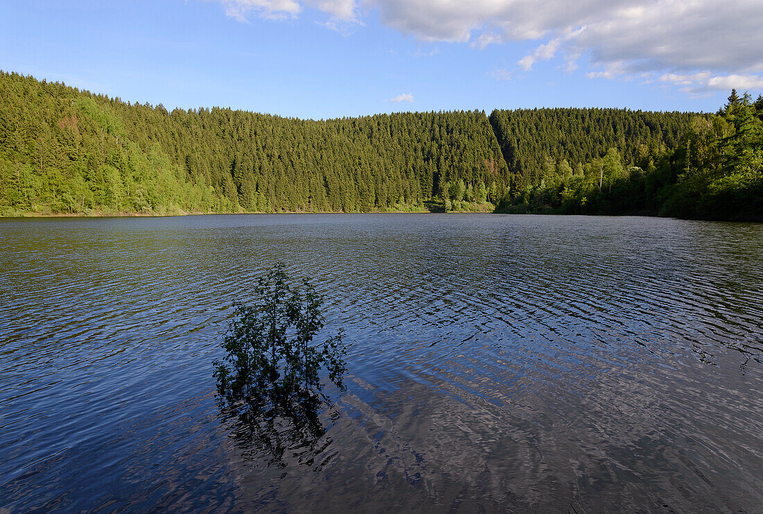 Oker reservoir, Harz, Lower-Saxony, Germany, Europe
