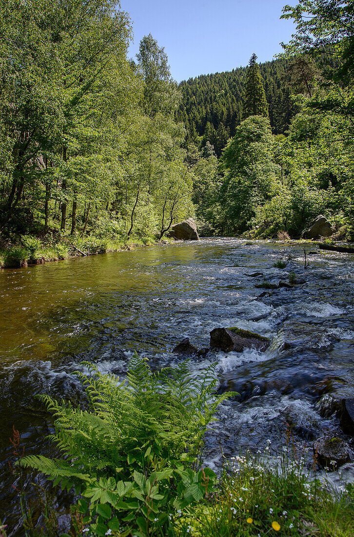 River Oker, Oker valley, Harz, Lower-Saxony, Germany, Europe