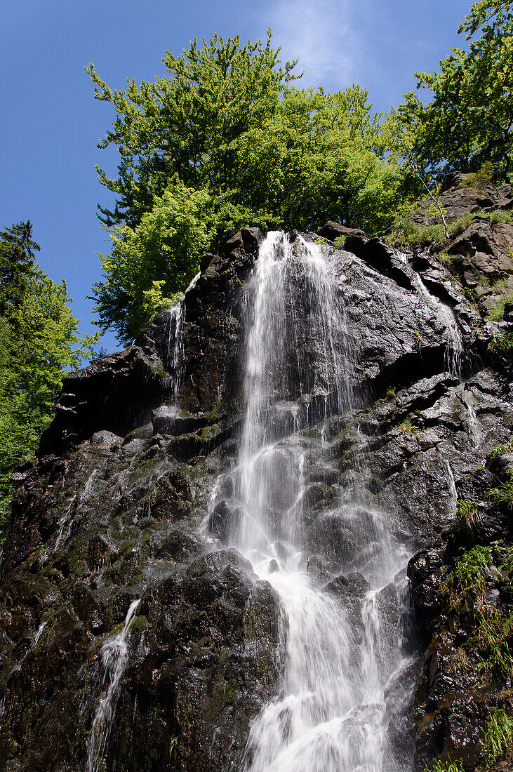 Radau waterfall, Bad Harzburg, Harz, Lower-Saxony, Germany, Europe