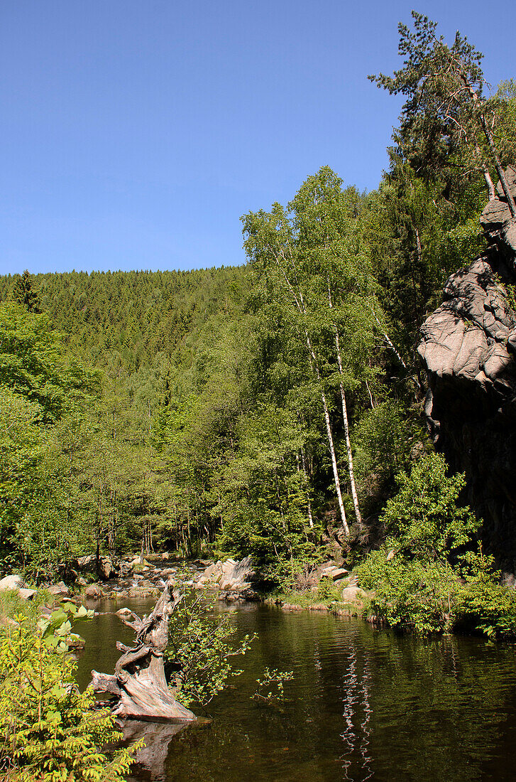 River Oker, Oker valley, Harz, Lower-Saxony, Germany, Europe