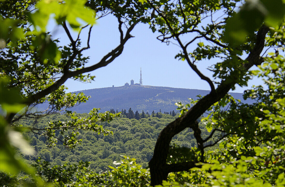 Blick vom großen Burgberg auf den Brocken, Bad Harzburg, Harz, Niedersachsen, Deutschland, Europa