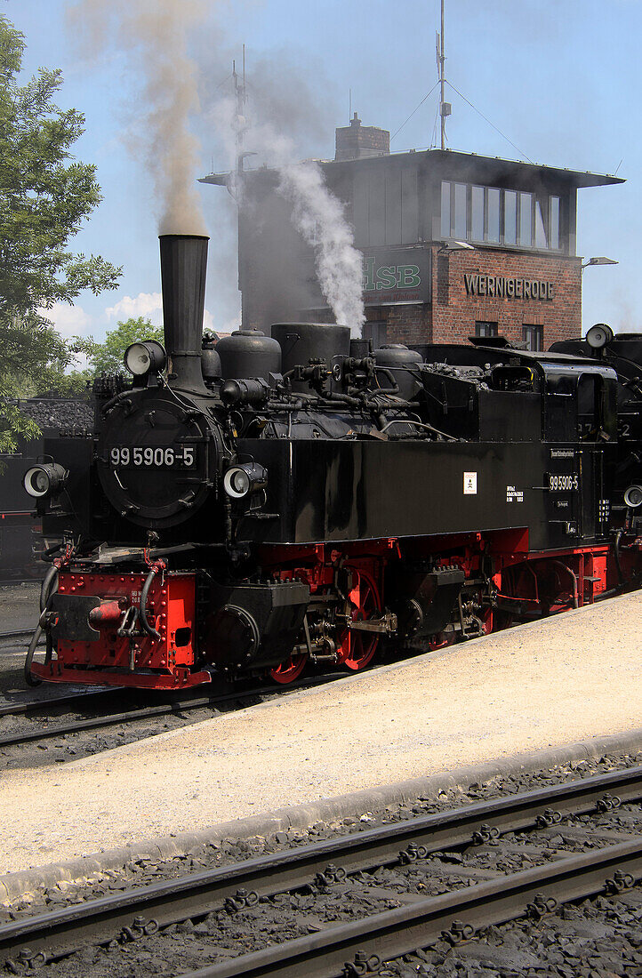 Steam train leaving Wernigerode Station, Harz, Saxony-Anhalt, Germany, Europe