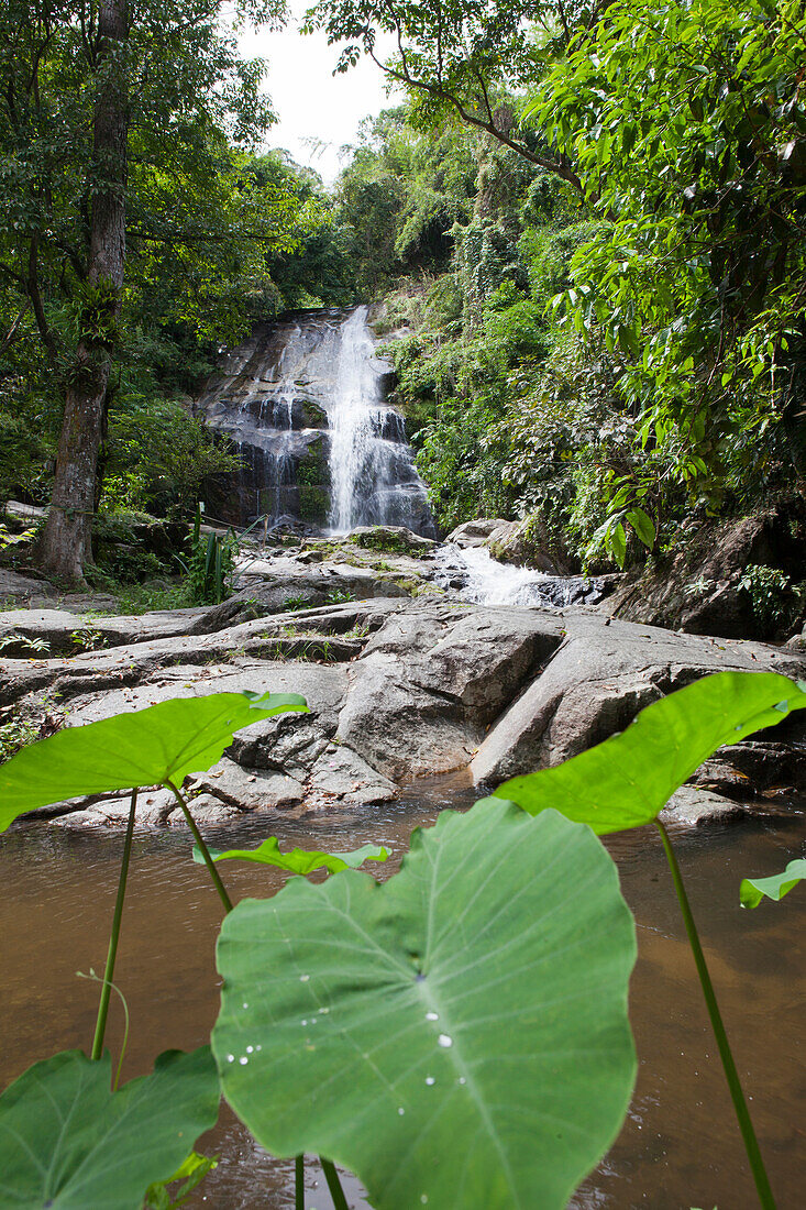 Waterfall in tropical forest, Bang Saphan, Prachuap Khiri Khan Province, Thailand, Asia