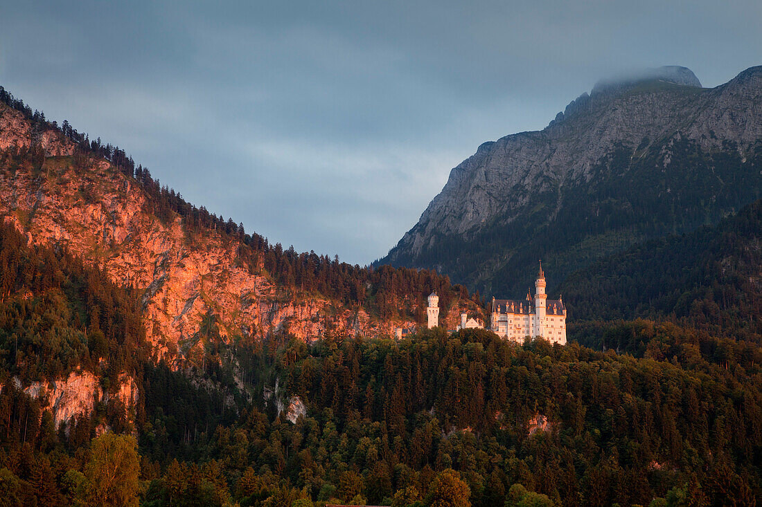 Schloss Neuschwanstein bei Schwangau, Säuling im Hintergrund, Füssen, Allgäu, Bayern, Deutschland