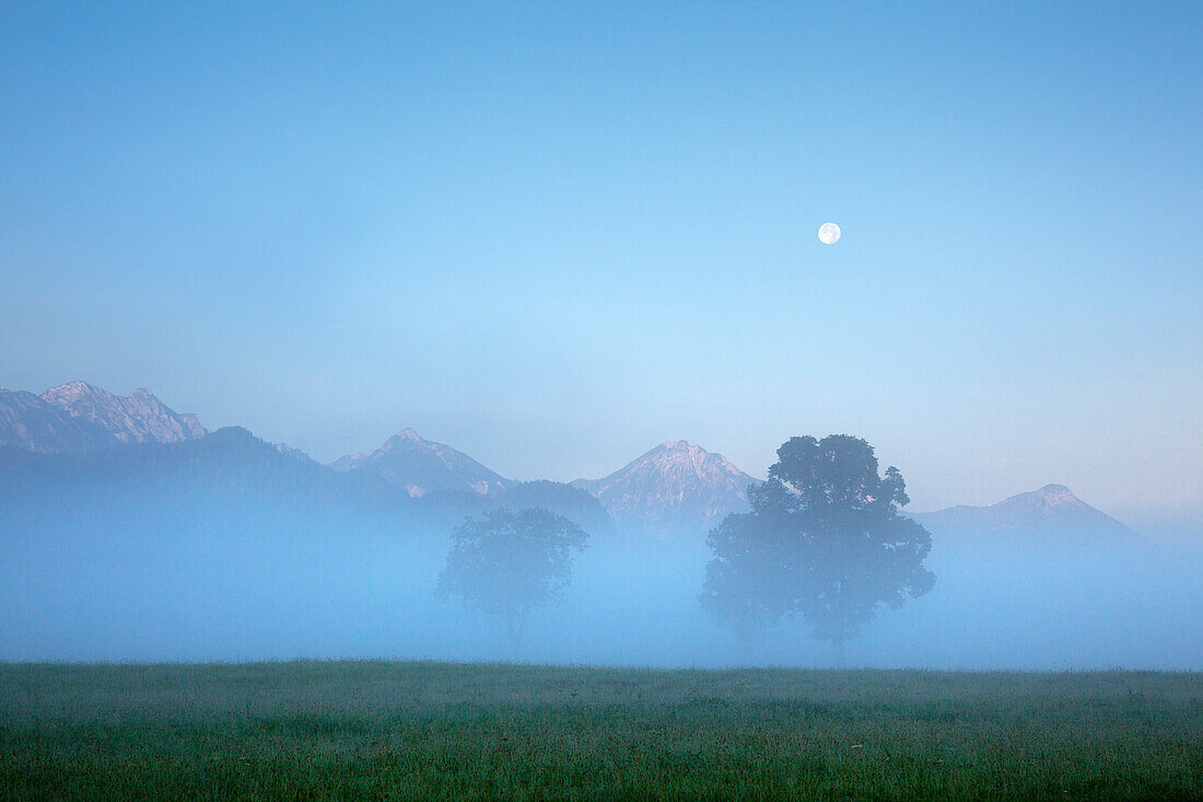 Tannheim mountains in morning mist and moonlight, Hohenschwangau, near Fuessen, Allgaeu, Bavaria, Germany