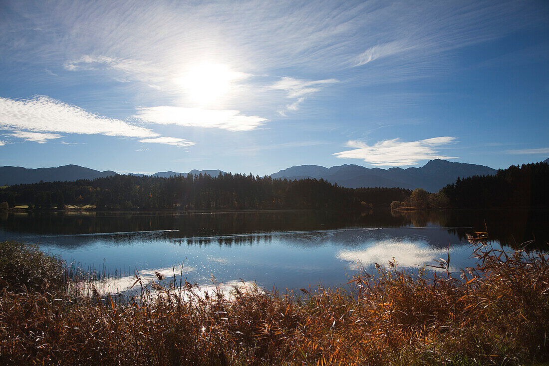 Blick über den Forggensee auf die Allgäuer Alpen mit dem Tegelberg, Allgäu, Bayern, Deutschland