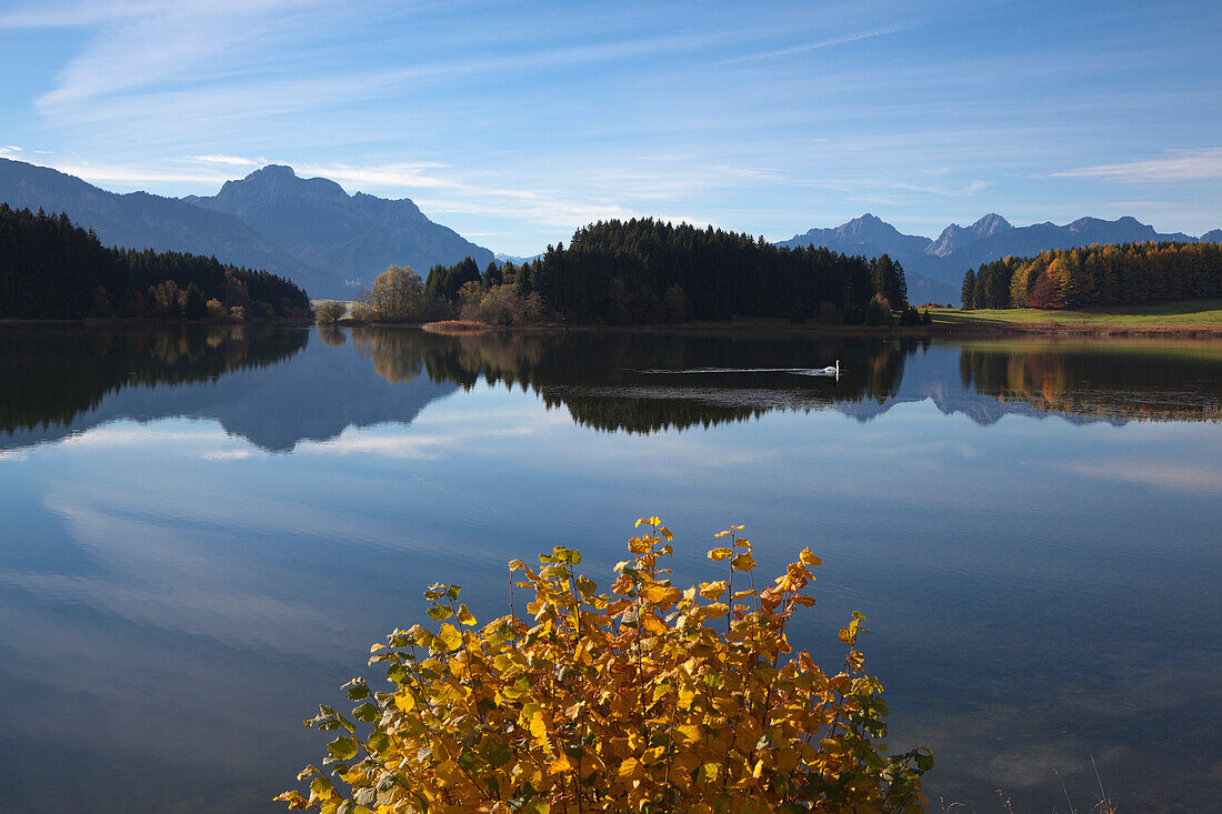 Blick über den Forggensee auf die Allgäuer Alpen, Säuling und Tannheimer Berge, Allgäu, Bayern, Deutschland