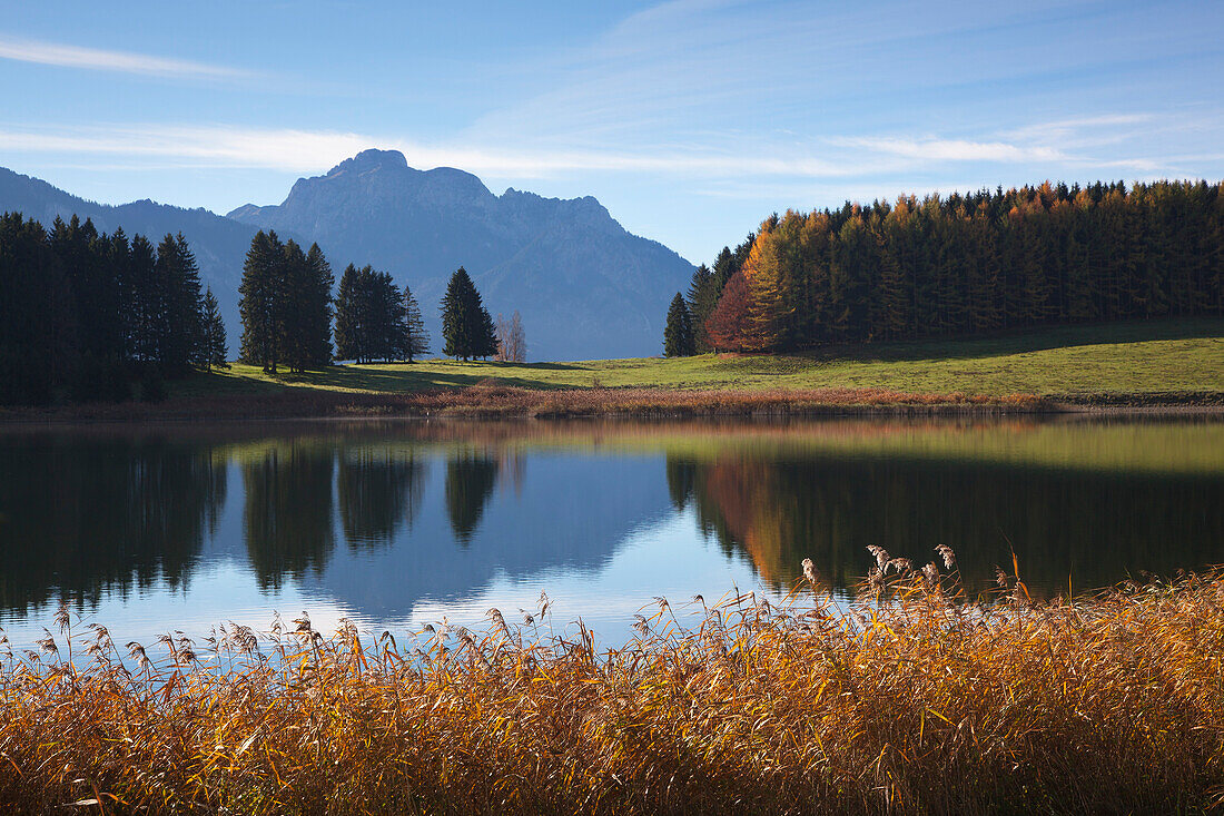 View over lake Forggensee to the Allgaeu Alps, Saeuling, Allgaeu, Bavaria, Germany