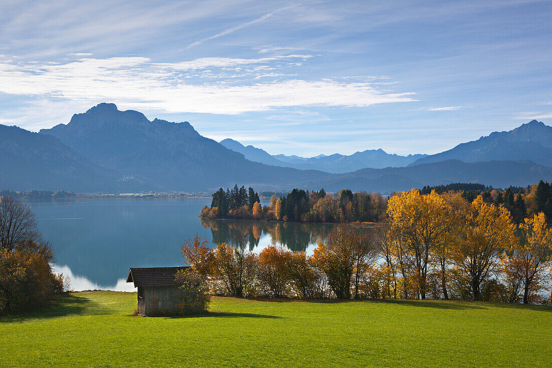 View over Forggensee lake to the Allgaeu Alps, Saeuling and Tannheim mountains, Allgaeu, Bavaria, Germany