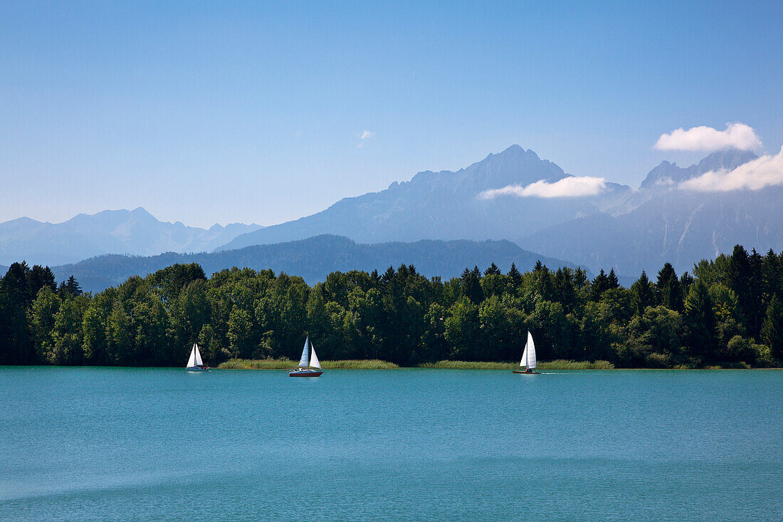 Sailing boats on lake Forggensee, Tannheim mountains in the background, Allgaeu, Bavaria, Germany