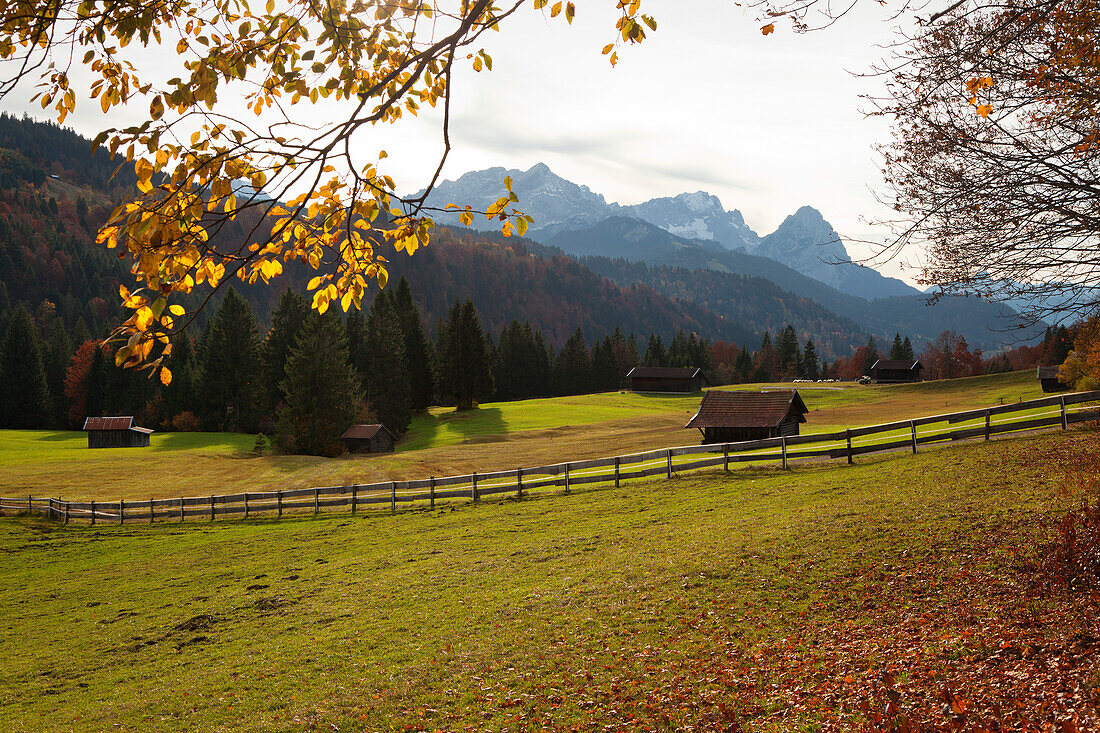 Mountain pasture with hay barns, view to Alpsitze, Zugspitze and Waxenstein, near Garmisch-Partenkirchen, Wetterstein mountains, Werdenfels area, Bavaria, Germany