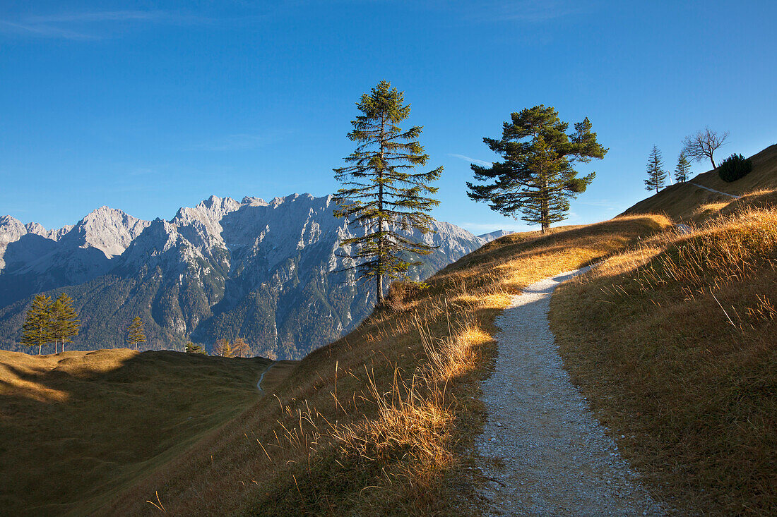Hiking trail at Hoher Kranzberg, view to the Karwendel mountains, near Mittenwald, Bavaria, Germany