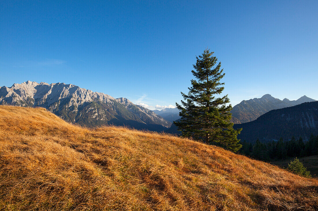 Blick vom Hohen Kranzberg auf das Karwendelgebirge und die Arnspitzen, bei Mittenwald, Bayern, Deutschland