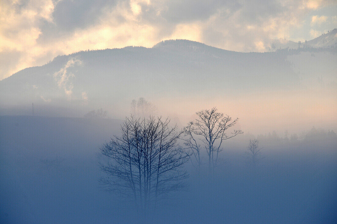 Zahmer Kaiser aurrounded by mist, Kaiserwinkl, Winter in Tyrol, Austria