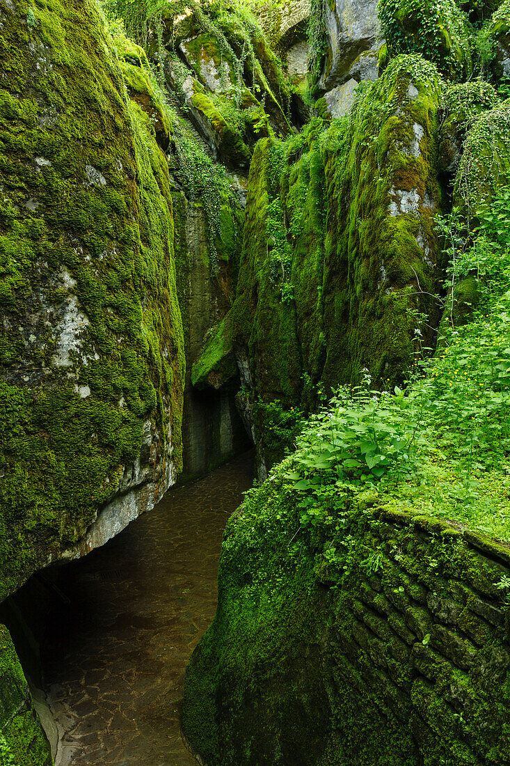 Sasso spicco, steps to grotto with bed from St. Francis, La Verna, Franciscan monastary, Monte Penna, St. Francis of Assisi, Via Francigena di San Francesco, St. Francis Way, near Chiusi della Verna, province of Arezzo, Tuscany, Italy, Europa