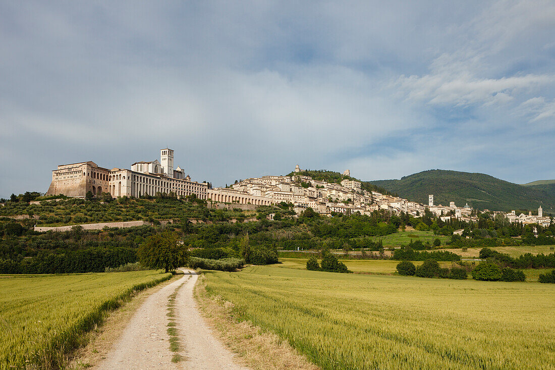 Assisi mit Basilika San Francesco im Hintergrund, UNESCO Weltkulturerbe, Franziskus von Assisi, Via Francigena di San Francesco, Franziskusweg, Assisi, Provinz Perugia, Umbrien, Italien, Europa