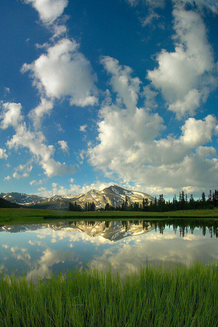 Mammoth Peak and scattered clouds reflected seasonal pool, upper Dana Meadow, Yosemite National Park, California