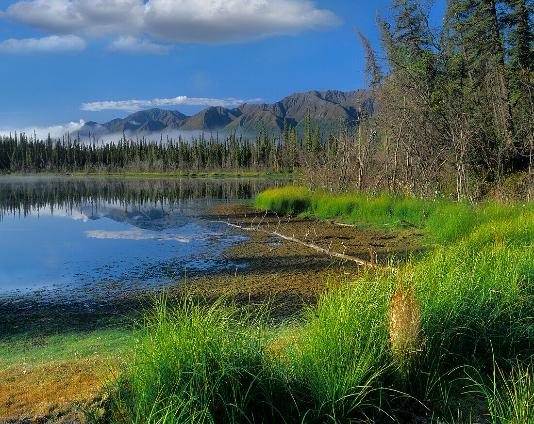Nutzotin Mountains and boreal forest reflected in receding lake, Alaska