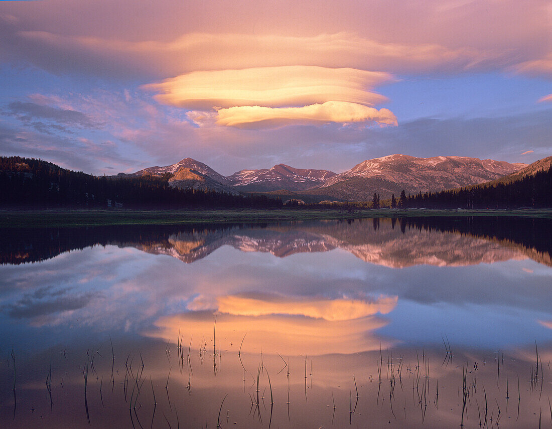 Lenticular clouds over Mount Dana, Mount Gibbs, and Mammoth Peak at Tuolumne Meadows, Yosemite National Park, California