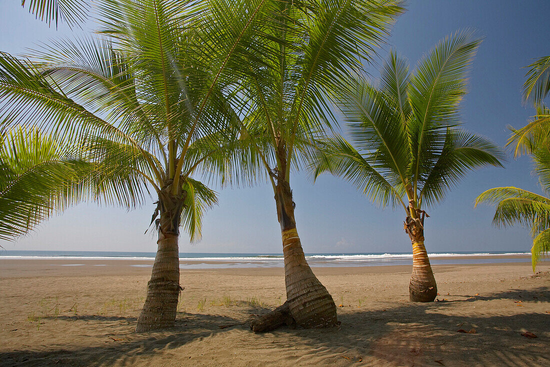 Playa Esterillos Este, Puntarenas, Costa Rica