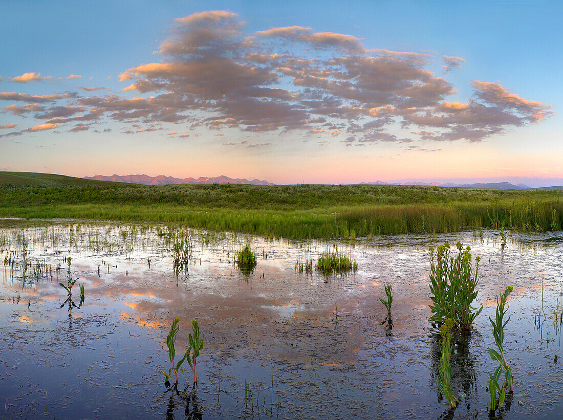 Reflection of clouds in the water, Arapaho National Wildlife Refuge, Colorado