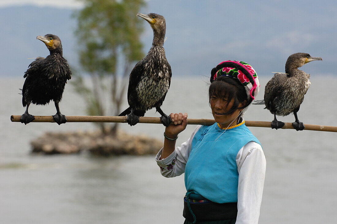 Bai Cormorant fisherman, on Erhai lake, Dali, Yunnan Province, China