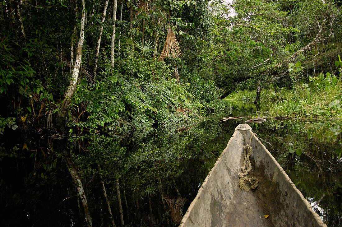 Dugout canoe in blackwater stream, Yasuni National Park Biosphere Reserve, Amazon rainforest, Ecuador