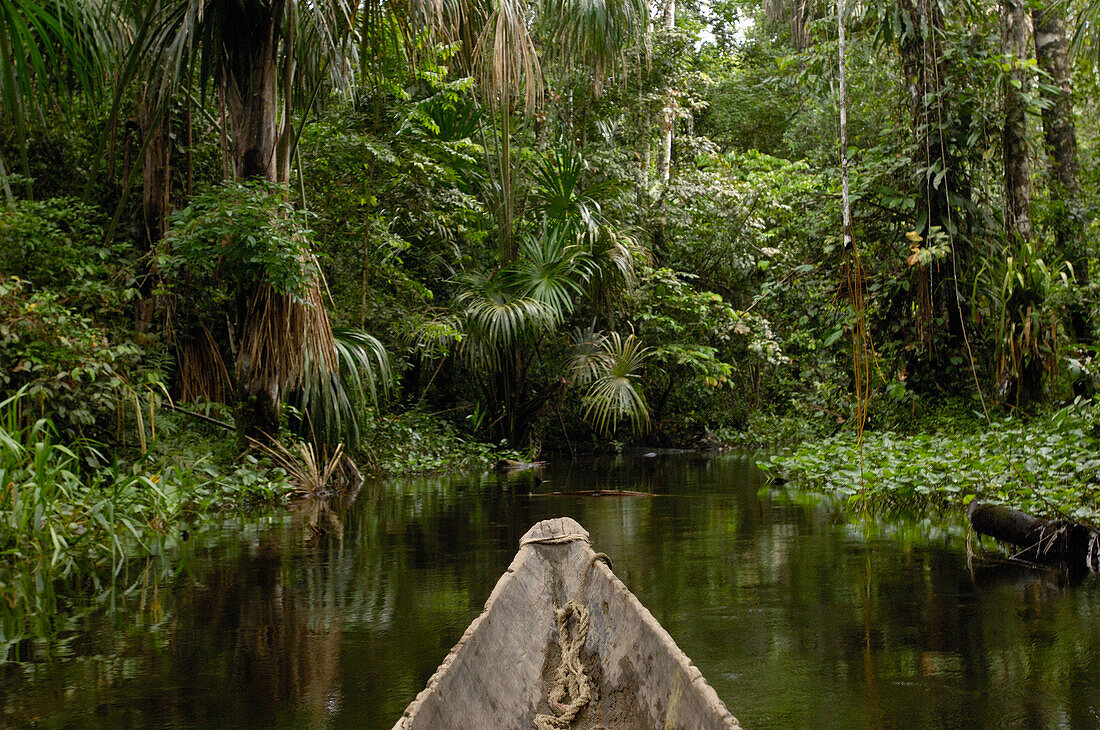 Dugout canoe in blackwater stream, Yasuni National Park Biosphere Reserve, Amazon rainforest, Ecuador