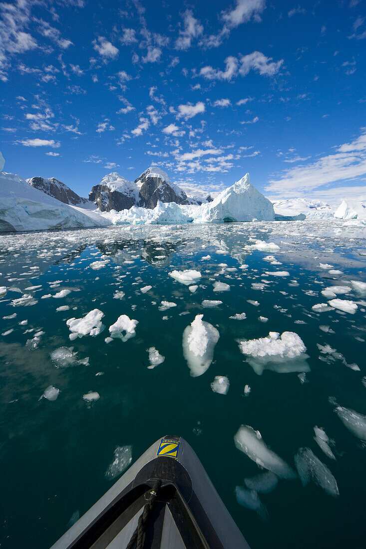 Icebergs and ice floes in front of coastline, western Antarctica