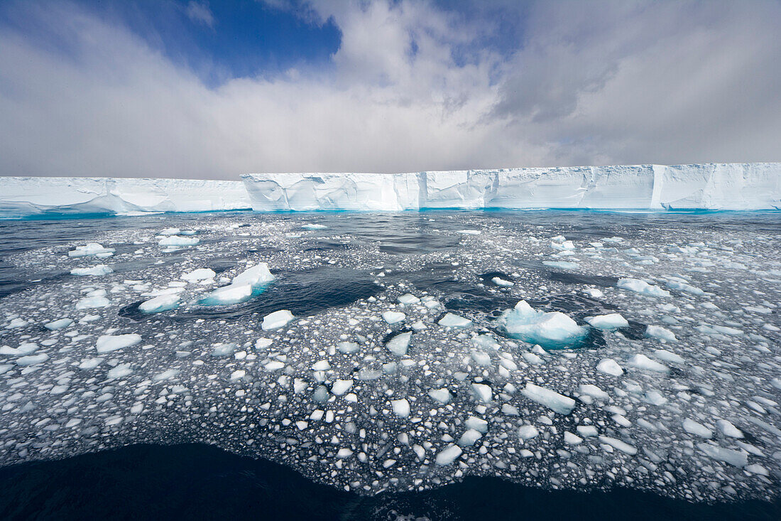 Iceberg sculpted by waves and loose ice chunks floating in sea as global warming causes faster melting of ice, South Georgia Island