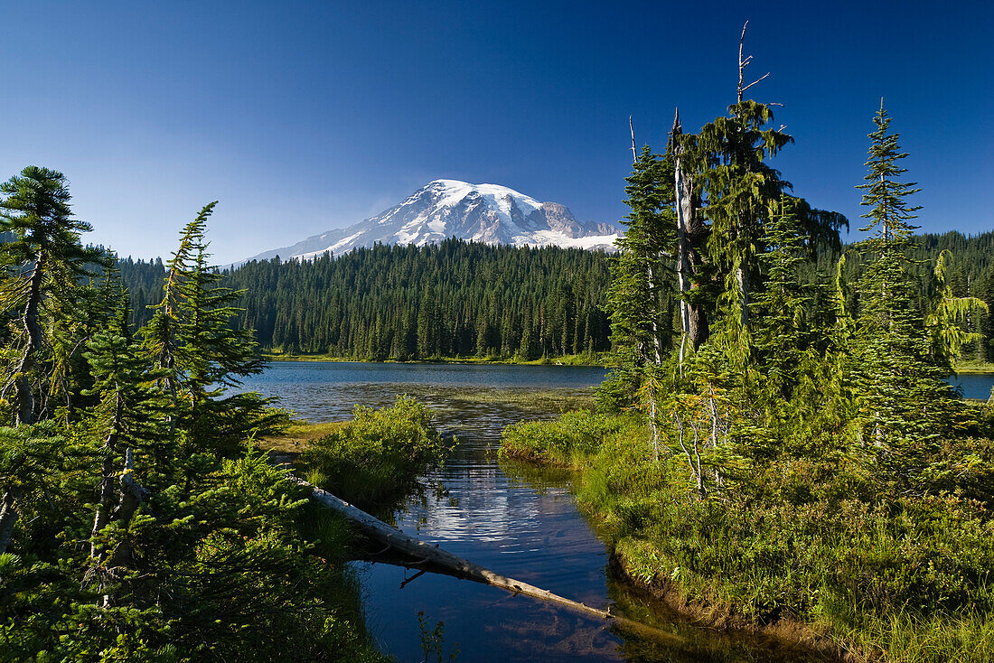 Reflection Lake with Mount Rainier, Mount Rainier National Park, Washington