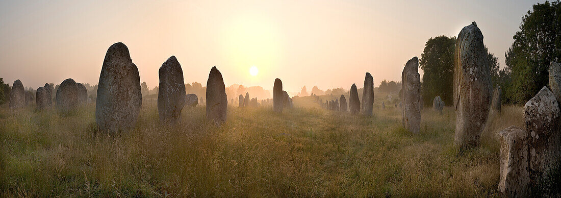 Standing Stones at sunrise, Carnac, Brittany, France