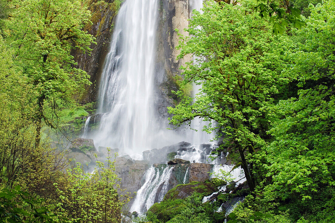 Silver Falls, Golden and Silver Falls State Natural Area, Mellicoma River, Oregon