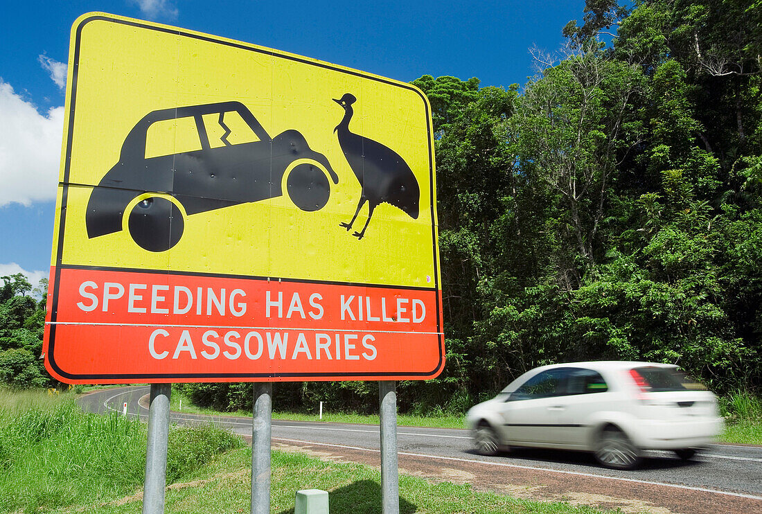Cassowary warning sign on major highway, Mission Beach, Queensland, Australia
