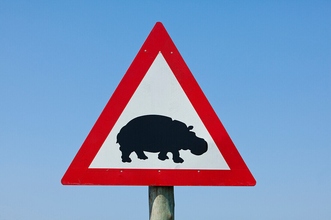 Hippopotamus (Hippopotamus amphibius) warning sign, Phalaborwa, South Africa