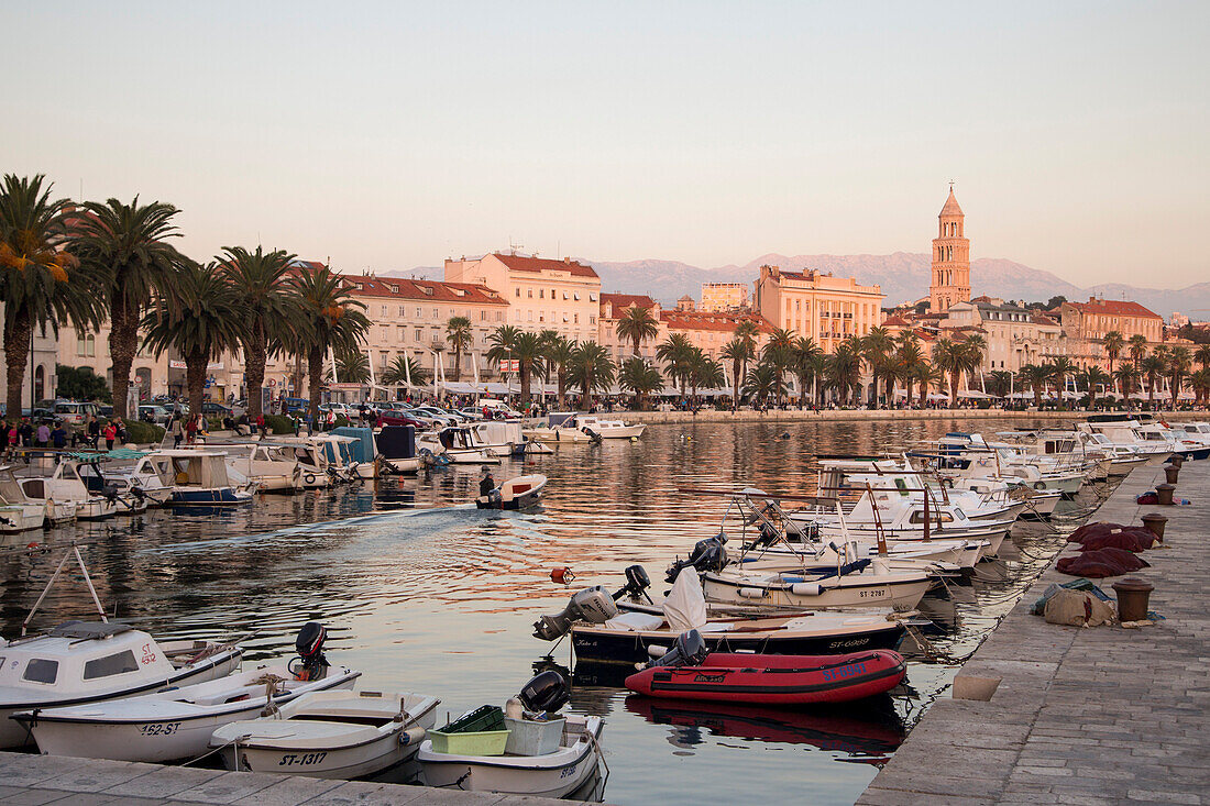 Fischerboote im Hafen, Uferpromenade und die Kathedrale des Heiligen Domnius am späten Nachmittag, Split, Dalmatien, Kroatien, Europa