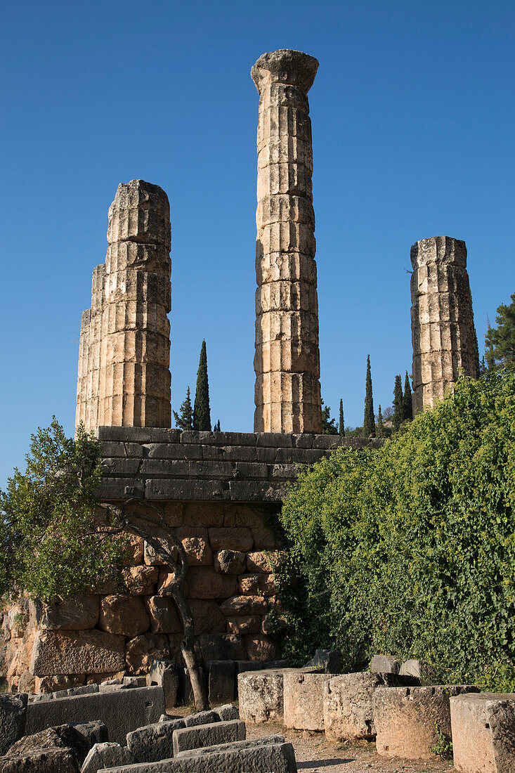 Columns in the Temple of Apollo at 4th century B.C. Delphi ruins, Delphi, Peloponnese, Central Greece, Greece