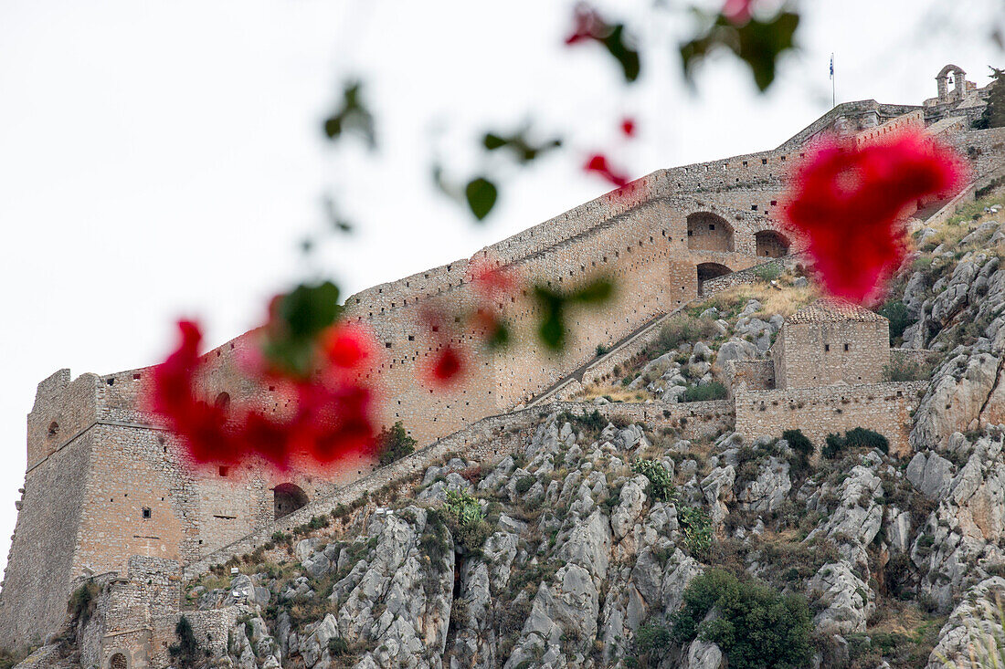 Palamidi Fortress seen through bougainvillea flowers, Nafplio, Nauplia, Peloponnese, Greece