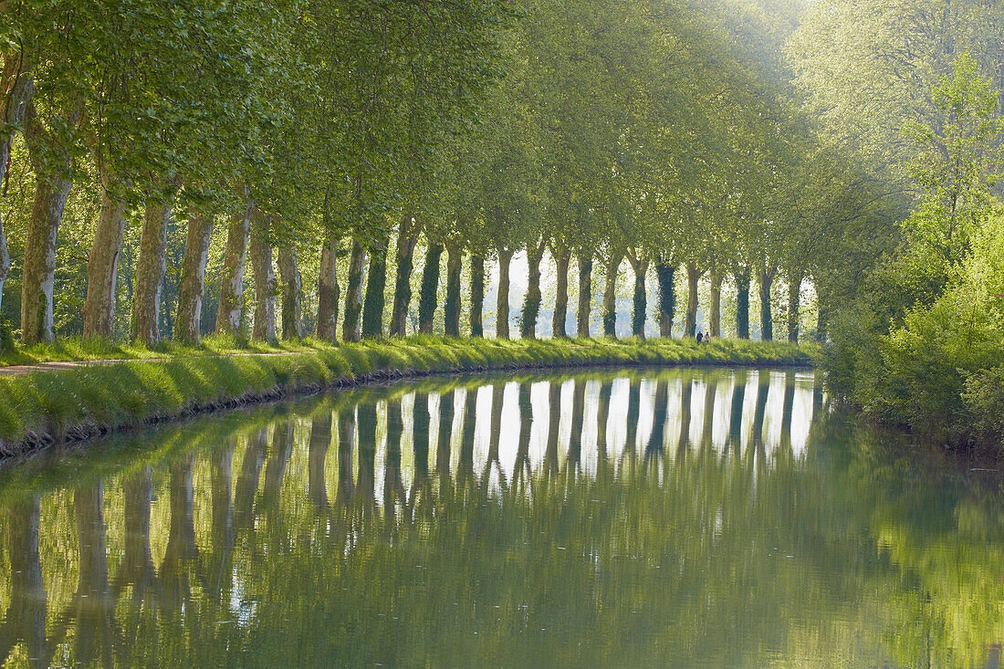 Platanenallee und Hausboot auf dem Wasserweg Canal de Garonne, PK 91, Dept. Lot-et-Garonne, Region Aquitaine, Frankreich, Europa