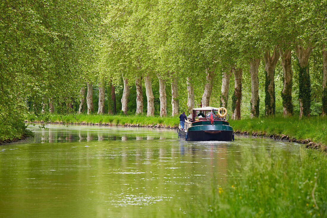 Platanenallee und Hausboot auf dem Wasserweg Canal de Garonne, PK 88, Dept. Tarn-et-Garonne, Region Aquitaine, Frankreich, Europa