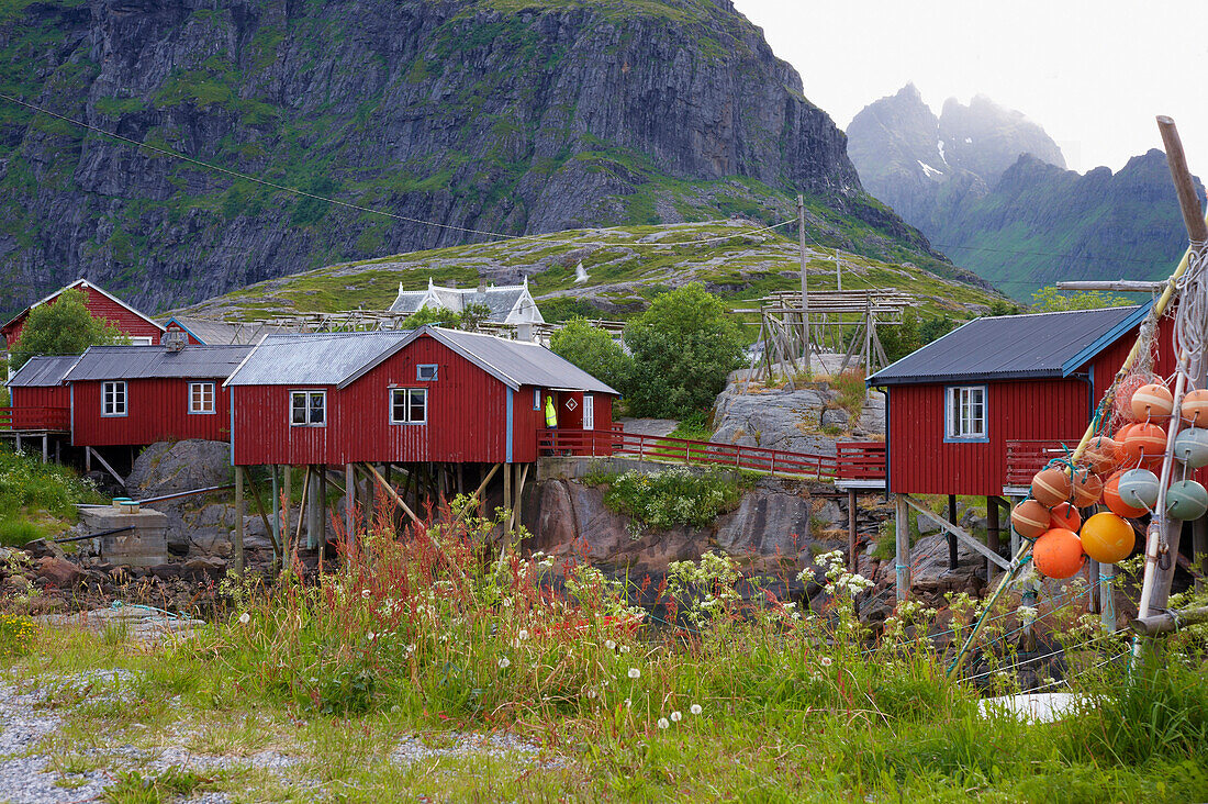 Rorbuer, in the village of A, Isle of Moskenes, Lofoten, Province of Nordland, Nordland, Norway, Europe