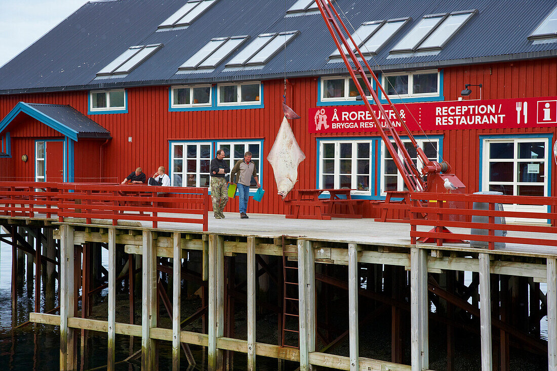 Halibut and rorbuer in the village of A, Isle of Moskenes, Lofoten, Province of Nordland, Nordland, Norway, Europe